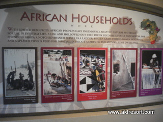 Hallway display 5